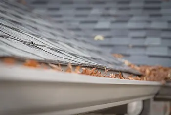 Gutter Cleanup