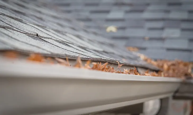 Gutter Cleanup