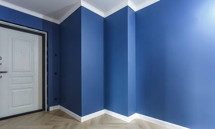 Interior & Exterior Painting